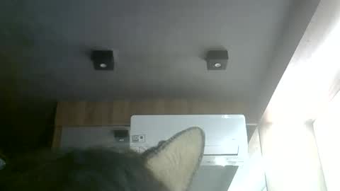 Snapshot of skinnykittencam chatting on 6, 6, 2026 skinnykittencam online show from 6, 6, 2026