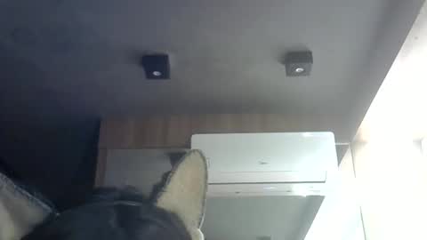 Snapshot of skinnykittencam chatting on 8, 6, 2026 skinnykittencam online show from 8, 6, 2026