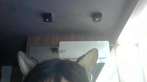 Snapshot of skinnykittencam chatting on 9, 6, 2026 skinnykittencam online show from 9, 6, 2026