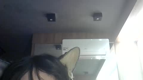 Snapshot of skinnykittencam chatting on 11, 6, 2026 skinnykittencam online show from 11, 6, 2026