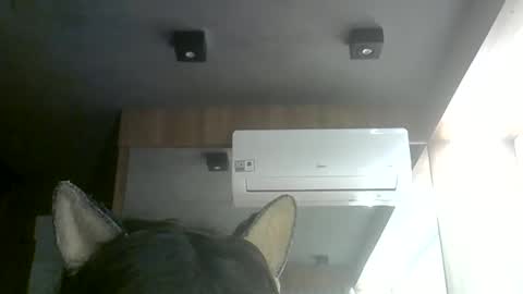Snapshot of skinnykittencam chatting on 11, 6, 2026 skinnykittencam online show from 11, 6, 2026