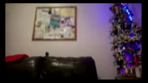 Snapshot of skyfly333 chatting on 20, 7, 2026 IAN HARD online show from 20, 7, 2026
