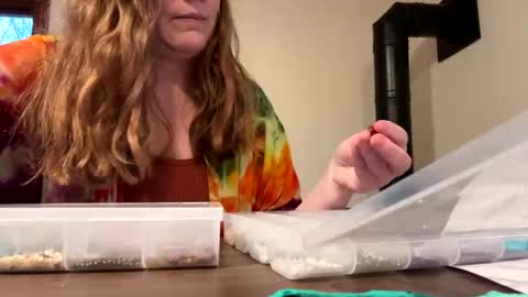 Sky Winters online show from 1, 1, 2025