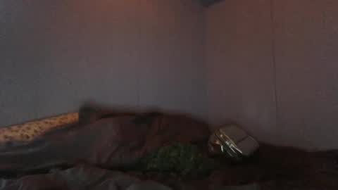 slapme_silly online show from 12, 12, 2024