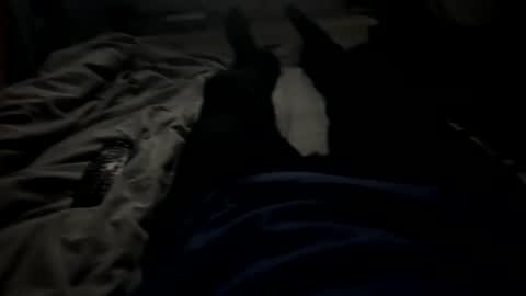 Snapshot of slimboy6900 chatting on 23, 2, 2026 slimboy6900 online show from 23, 2, 2026