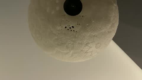 Snapshot of slimguy03 chatting on 28, 1, 2025 slimguy03 online show from 28, 1, 2025