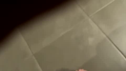 Snapshot of slimlord90 chatting on 25, 1, 2025 slimlord90 online show from 25, 1, 2025