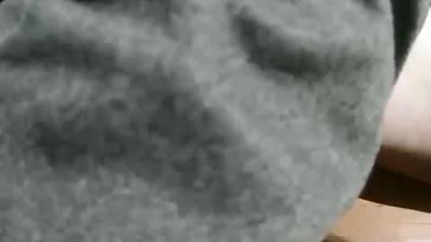 slimsunny online show from 4, 12, 2024