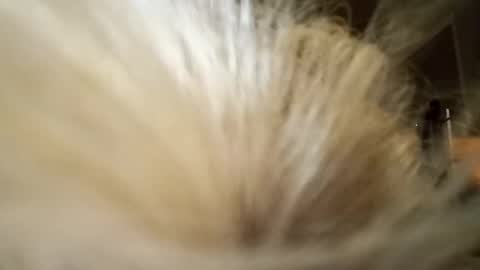 Fun time online show from 4, 4, 2026