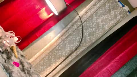 slutxcums_martel69 online show from 26, 9, 2025