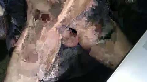 slyfast1 online show from 18, 12, 2025