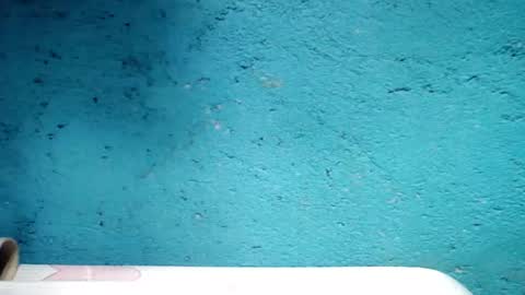 jess online show from 5, 1, 2025