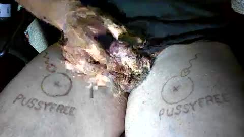 pussyfree4eva online show from 6, 6, 2026