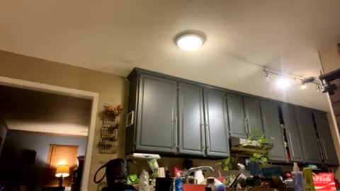 smokeymt420 online show from 9, 2, 2025