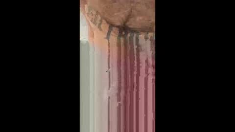 smyklops online show from 8, 1, 2026