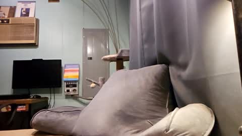 Snackyyyy online show from 6, 2, 2026