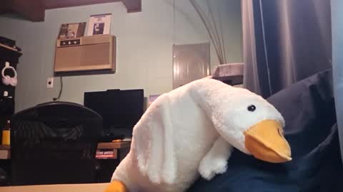 Snackyyyy online show from 8, 4, 2026