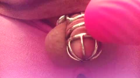 Snapshot of snakepit31 chatting on 25, 7, 2026 Sissy Boy online show from 25, 7, 2026