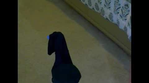 snizniz online show from 2, 12, 2024