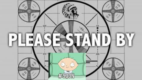 kitten online show from 6, 1, 2025