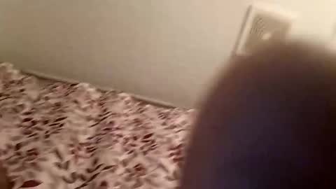 snomann01 online show from 16, 1, 2025