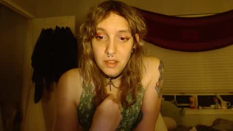 Lilytea online show from 3, 11, 2025