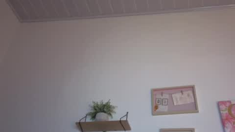     online show from 15, 11, 2025