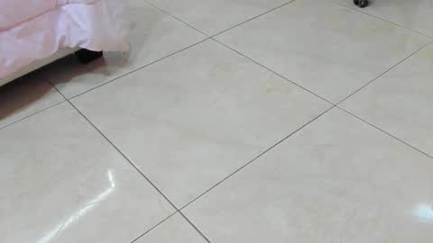 sofiaabigboobs online show from 25, 11, 2025