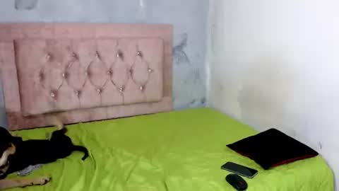 Snapshot of sofiadoll77 chatting on 8, 2, 2025 sofiadoll77 online show from 8, 2, 2025