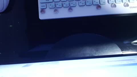 Snapshot of sofianix chatting on 13, 1, 2025 SOFIA NIX online show from 13, 1, 2025