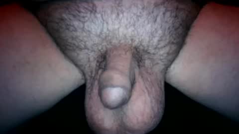 soft4you online show from 24, 6, 2026