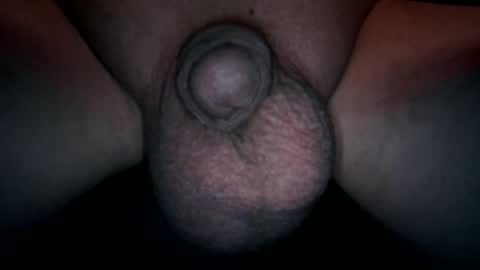 soft4you online show from 4, 8, 2026