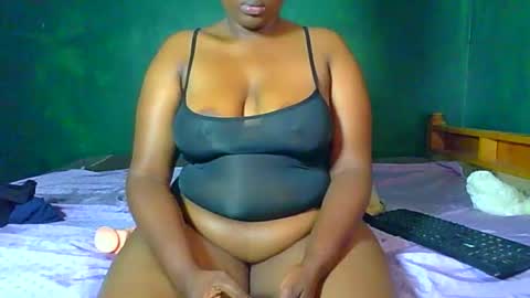 Solly bunny online show from 27, 3, 2026