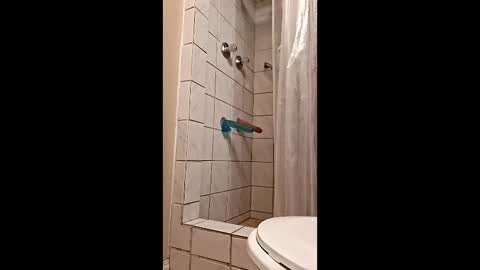 sologirl81 online show from 6, 2, 2026