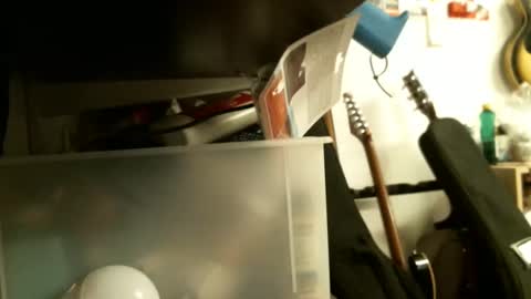 BruceWilly online show from 26, 1, 2025