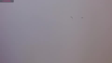 Sophie online show from 17, 11, 2025