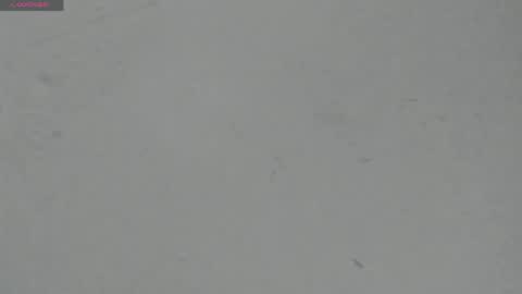 Snapshot of sophia_ebony___ chatting on 29, 4, 2026 sophia_ebony___ online show from 29, 4, 2026