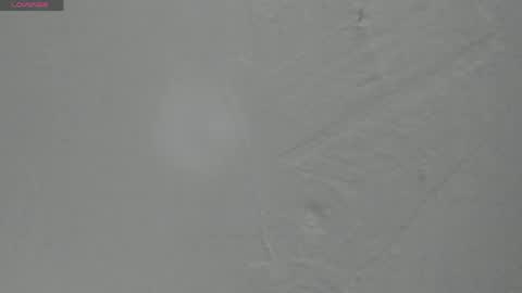 Snapshot of sophia_ebony___ chatting on 25, 5, 2026 sophia_ebony___ online show from 25, 5, 2026