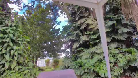 sophiaguzman_ online show from 16, 1, 2026