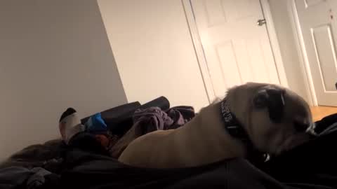 Snapshot of souls6207 chatting on 15, 3, 2026 souls6207 online show from 15, 3, 2026