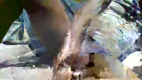 source1012 online show from 16, 1, 2025