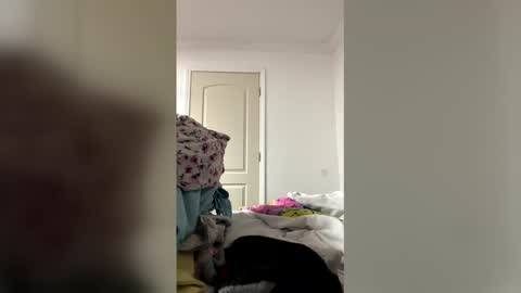 Southernblueyes online show from 5, 4, 2026