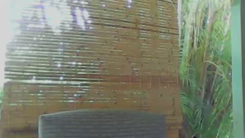 soveryhandsome online show from 9, 1, 2025