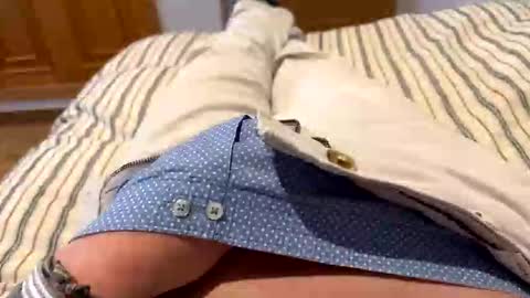 spain20011 online show from 27, 11, 2025