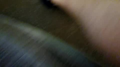 species online show from 31, 12, 2024