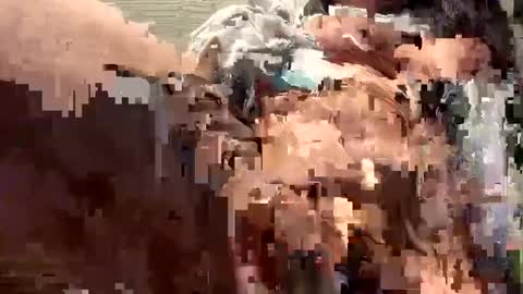 Sammi online show from 16, 12, 2024