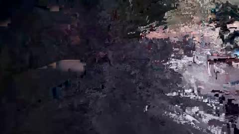 spider00969 online show from 24, 2, 2026