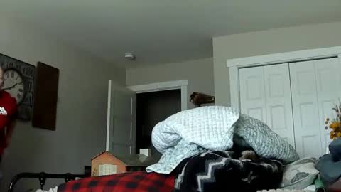 sportfish online show from 21, 2, 2026