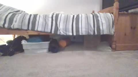 Snapshot of sportyguy283 chatting on 4, 3, 2025 Sportyguy283 online show from 4, 3, 2025