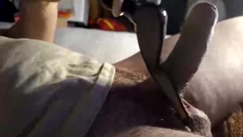 srb543 online show from 16, 12, 2025